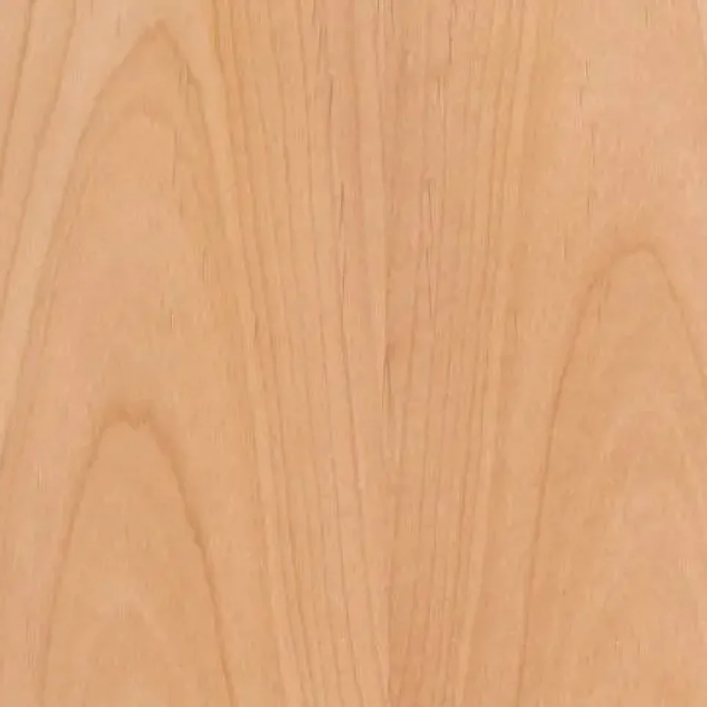 Clear Alder