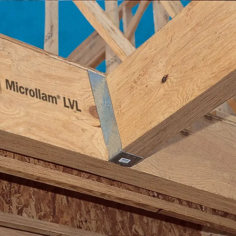 Microllam Photo_
