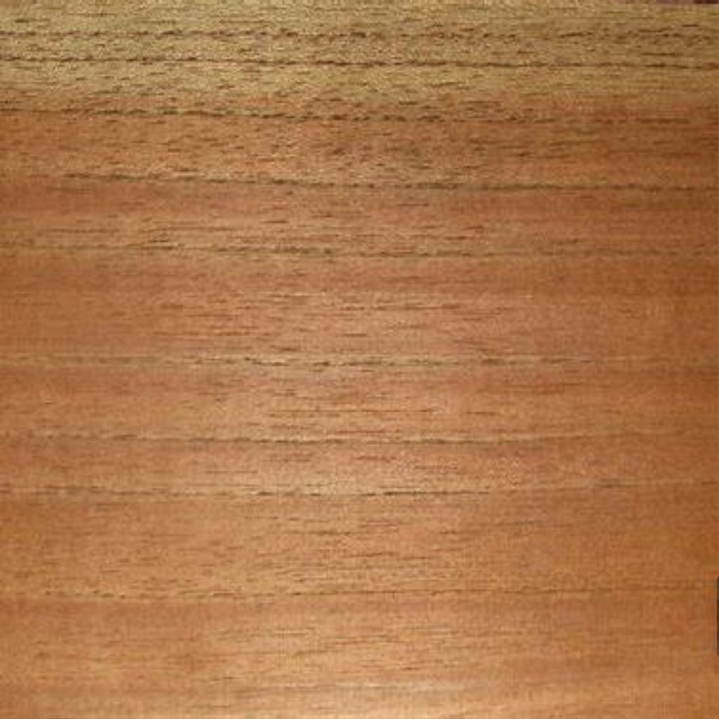 Spanish Cedar